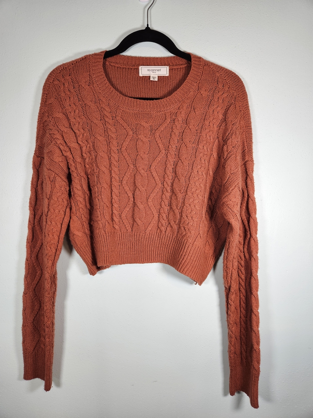 No Comment Cropped Cable-Knit Crewneck Sweater in Rust